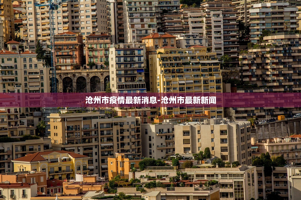 沧州市疫情最新消息-沧州市最新新闻