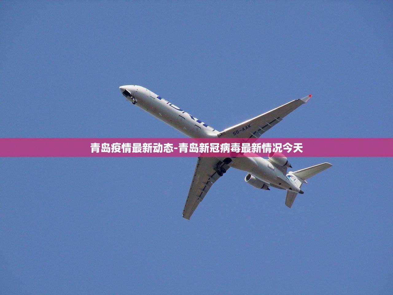 青岛疫情最新动态-青岛新冠病毒最新情况今天