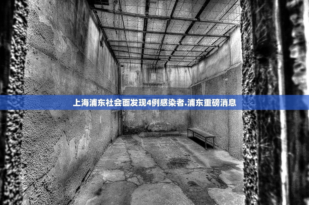 上海浦东社会面发现4例感染者.浦东重磅消息