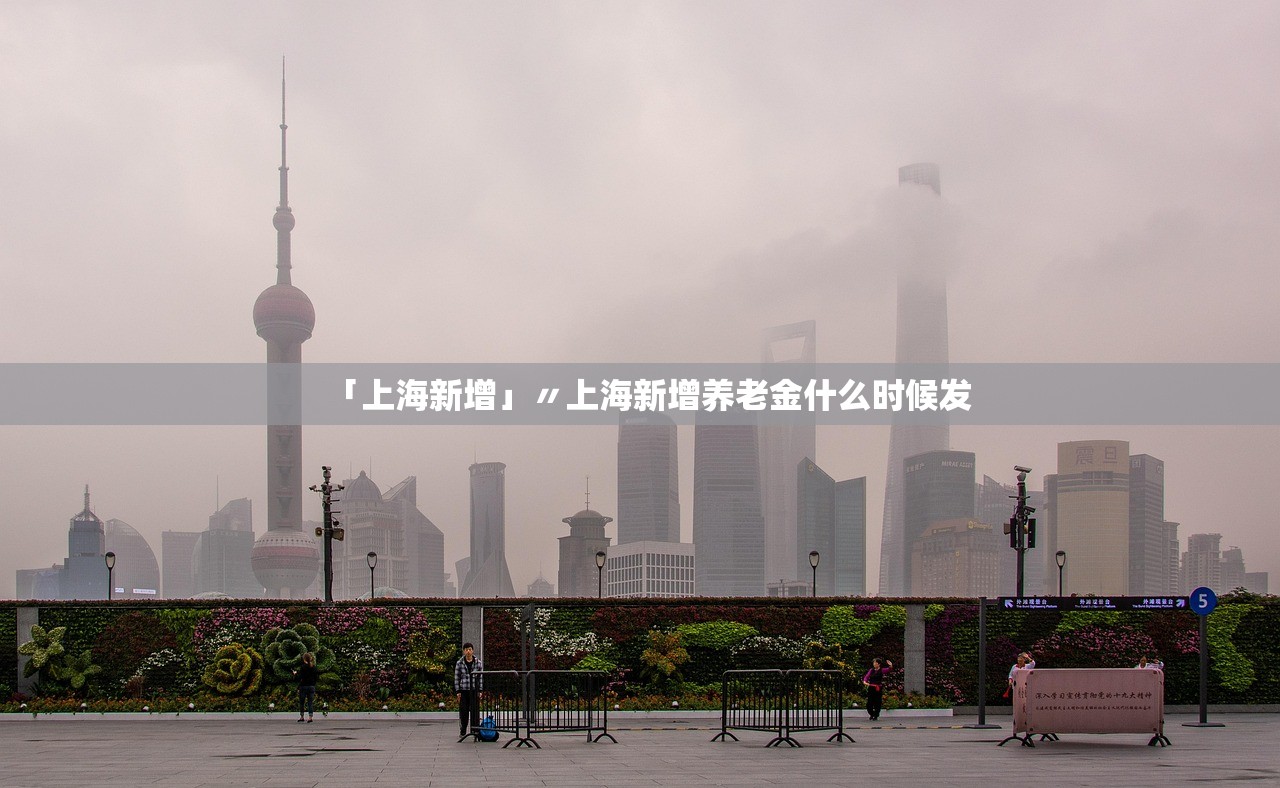 「上海新增」〃上海新增养老金什么时候发 「上海新增」〃上海新增养老金什么时候发
