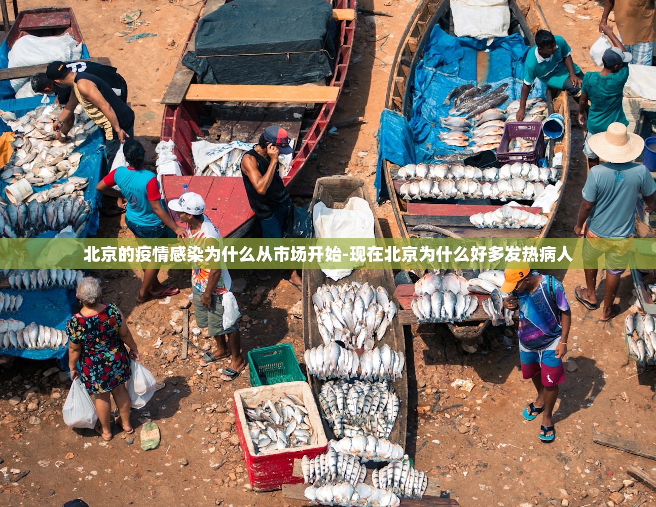 北京的疫情感染为什么从市场开始-现在北京为什么好多发热病人