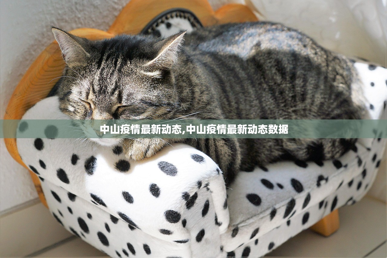 中山疫情最新动态,中山疫情最新动态数据