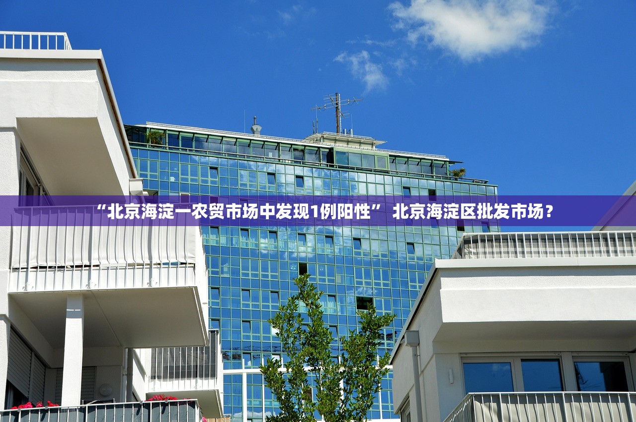 “北京海淀一农贸市场中发现1例阳性” 北京海淀区批发市场？