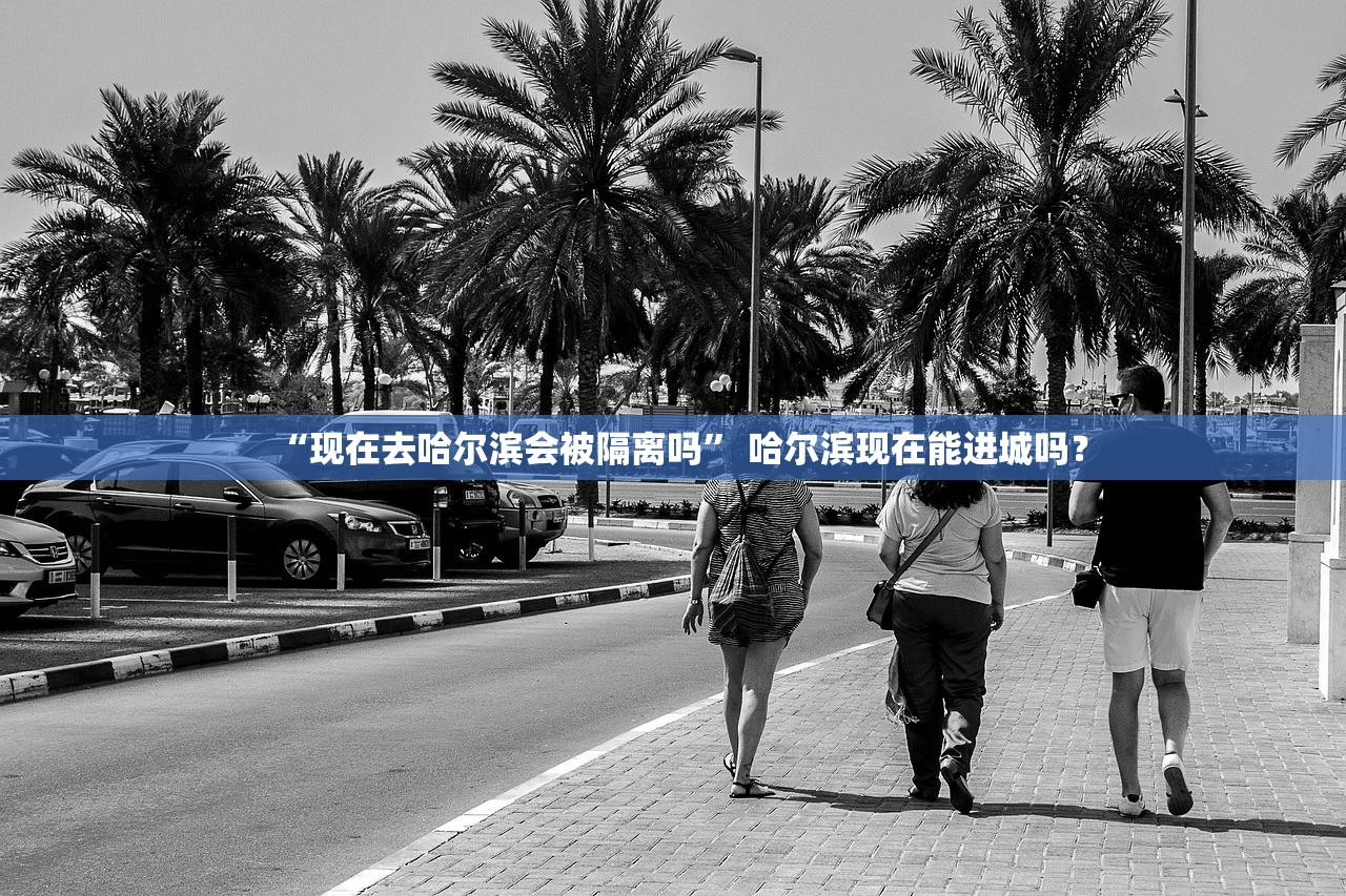 “现在去哈尔滨会被隔离吗” 哈尔滨现在能进城吗？