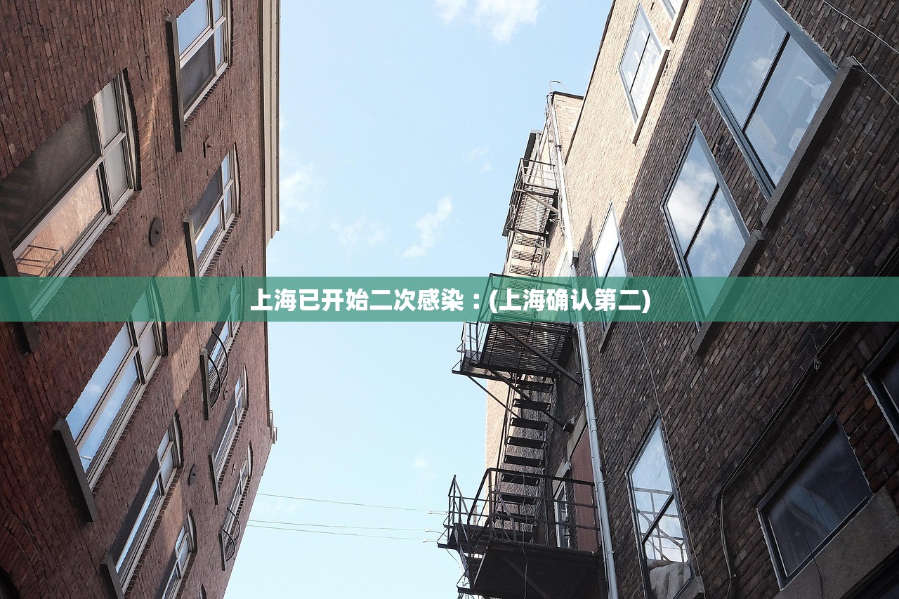 上海已开始二次感染︰(上海确认第二) 上海已开始二次感染︰(上海确认第二)