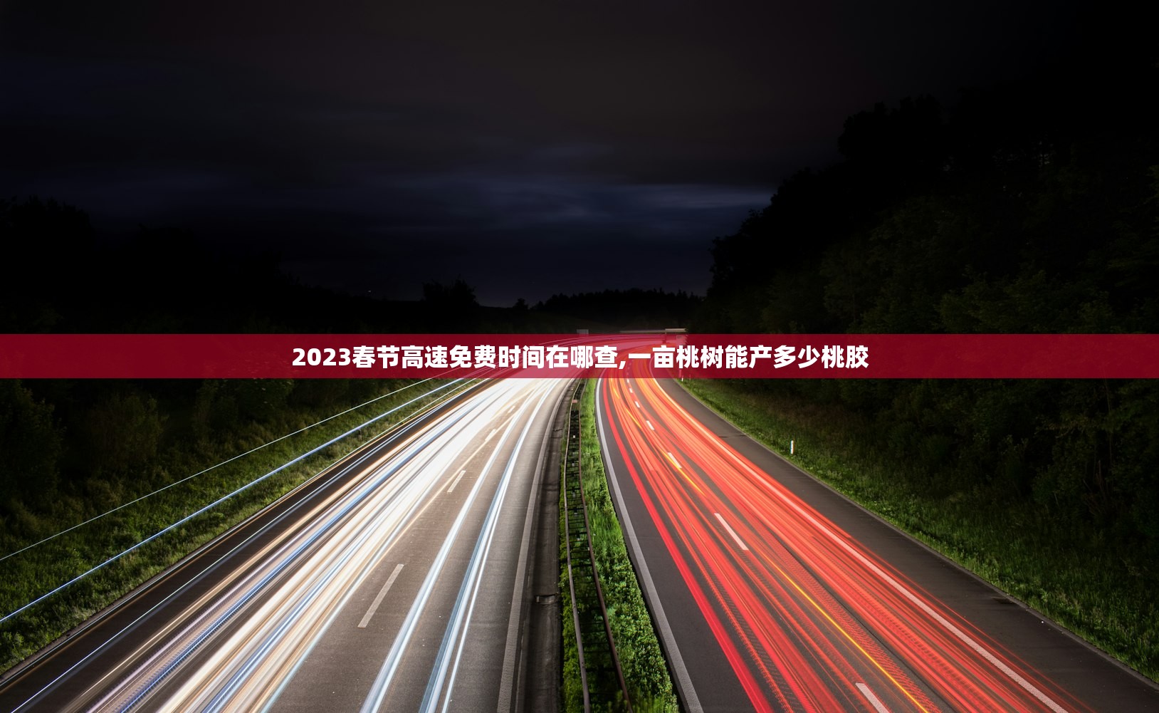 2023春节高速免费时间在哪查,一亩桃树能产多少桃胶