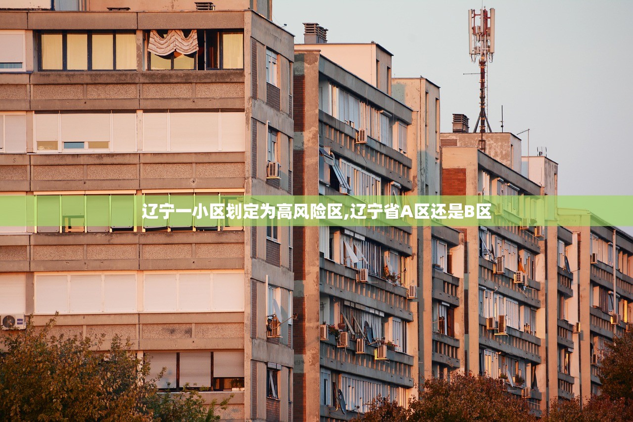 辽宁一小区划定为高风险区,辽宁省A区还是B区 辽宁一小区划定为高风险区,辽宁省A区还是B区