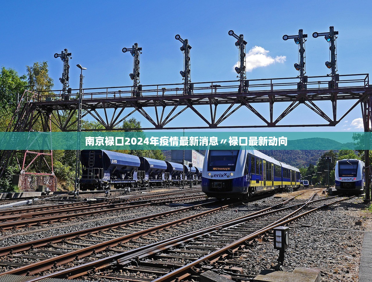南京禄口2024年疫情最新消息〃禄口最新动向 南京禄口2024年疫情最新消息〃禄口最新动向