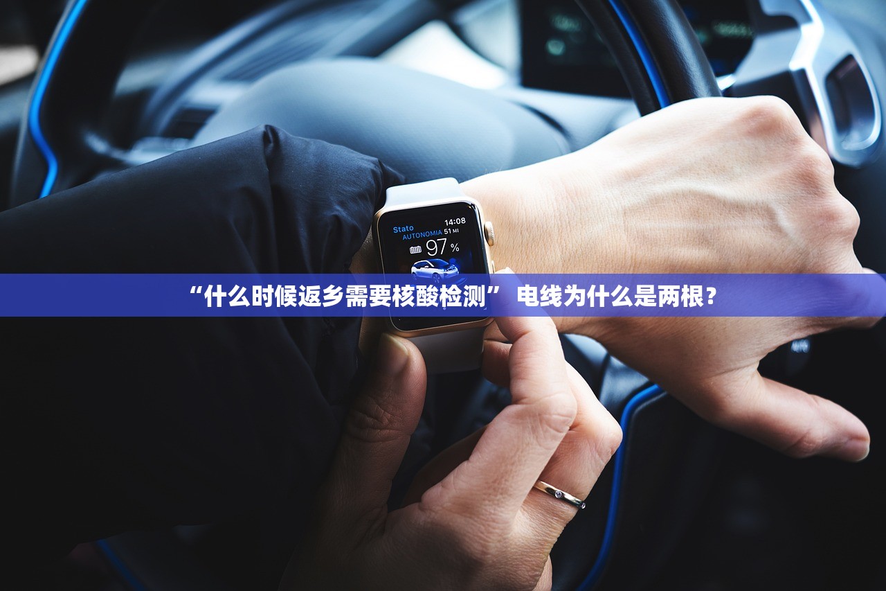 “什么时候返乡需要核酸检测	” 电线为什么是两根？