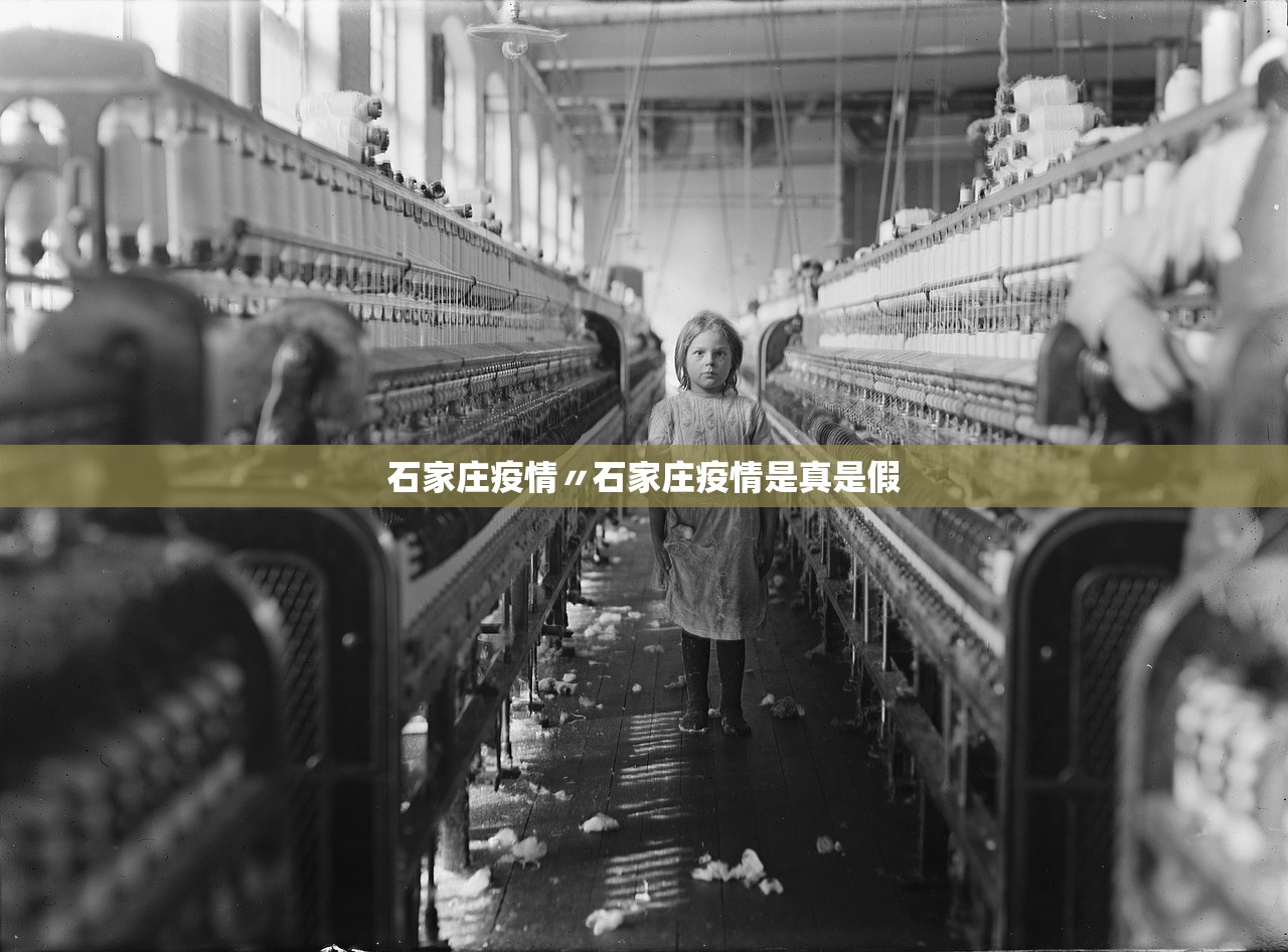 石家庄疫情〃石家庄疫情是真是假