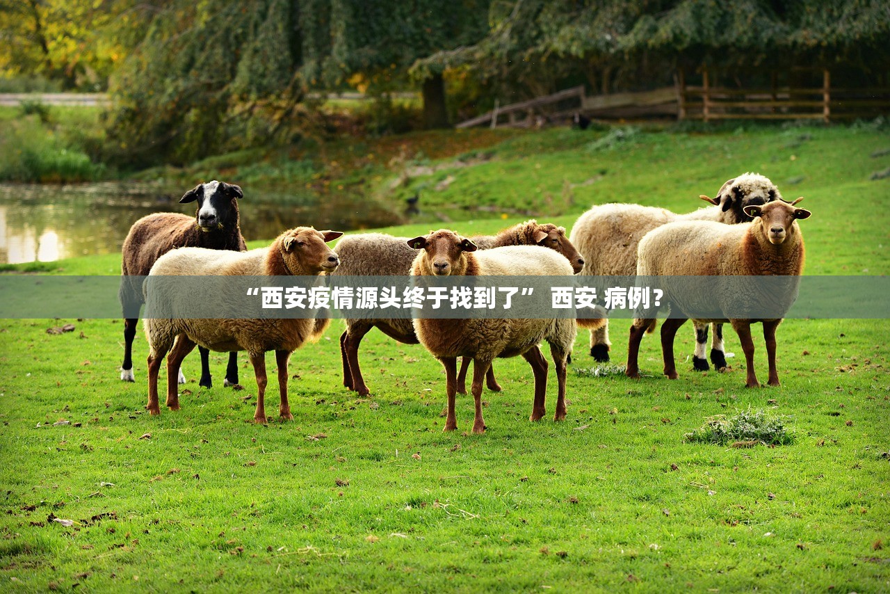 “西安疫情源头终于找到了” 西安 病例？