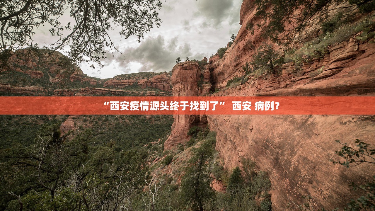 “西安疫情源头终于找到了” 西安 病例？