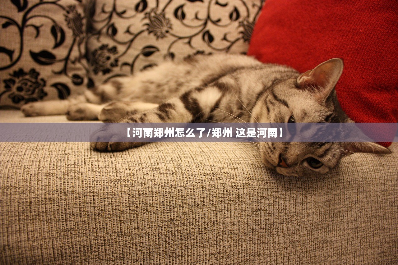 【河南郑州怎么了/郑州 这是河南】